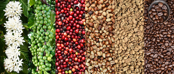 Fabiano’s Coffee Roasters coffee roaster in Fresno, California - specialty coffee, artisan roasted beans, and local coffee shop