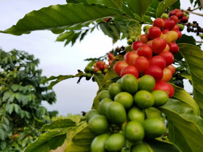 Luana Farm coffee roaster in Captain Cook, Hawaii - specialty coffee and artisan roasted beans