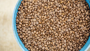 Dean’s Beans Organic Coffee Company coffee roaster near Sharon, Massachusetts - specialty coffee and local roastery
