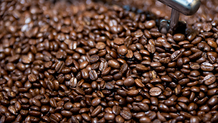 East Coast Roast Coffee coffee roaster in Island Park, New York - specialty coffee and artisan roasted beans