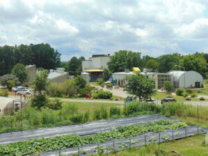 Vortex Roasters coffee roaster near Raleigh, North Carolina - specialty coffee and local roastery