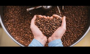 ND Coffee Roastery coffee roaster near Westhope, North Dakota - specialty coffee and local roastery