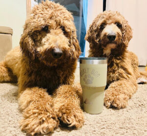 Curly Dog Coffee coffee roaster near Stow, Ohio - specialty coffee and local roastery