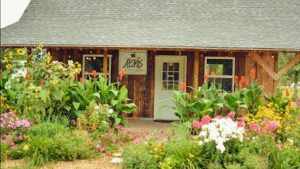 AerÃ­s Roasting Co coffee roaster near Tea, South Dakota - specialty coffee and local roastery